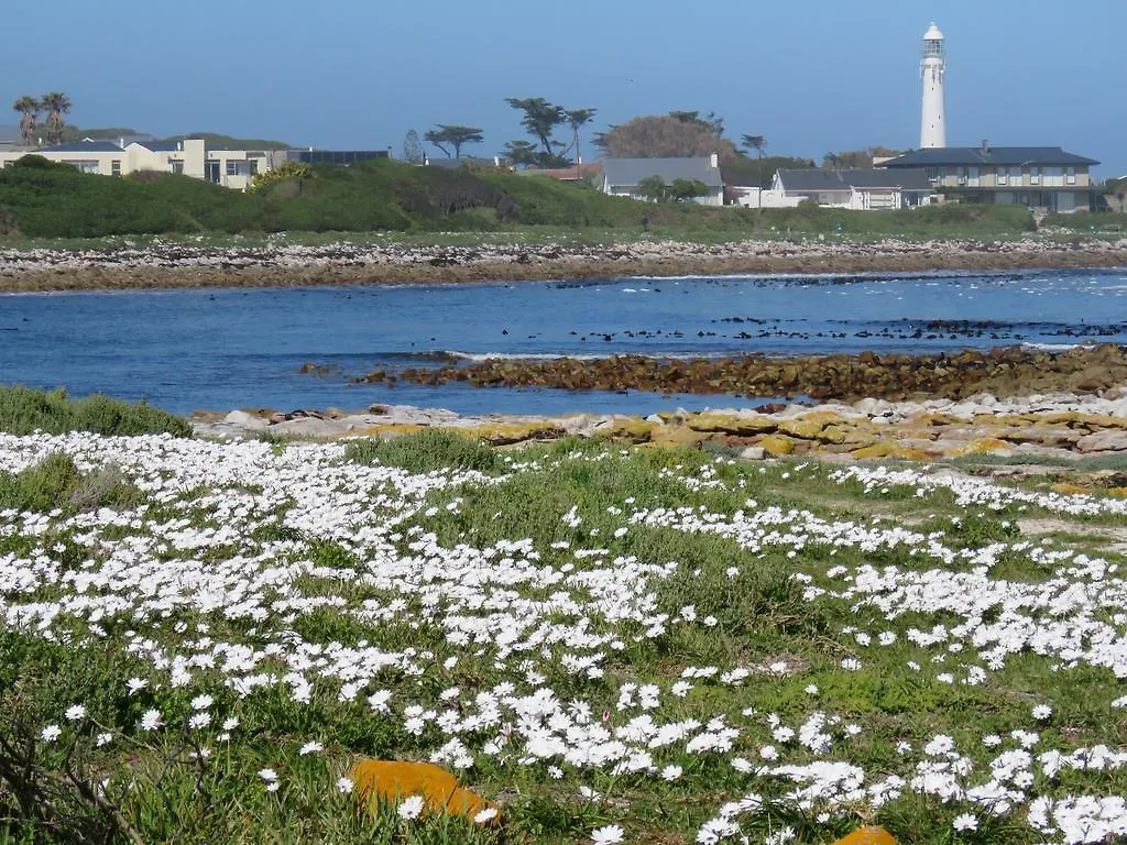 Palm Villa Cottage Kommetjie Holiday home